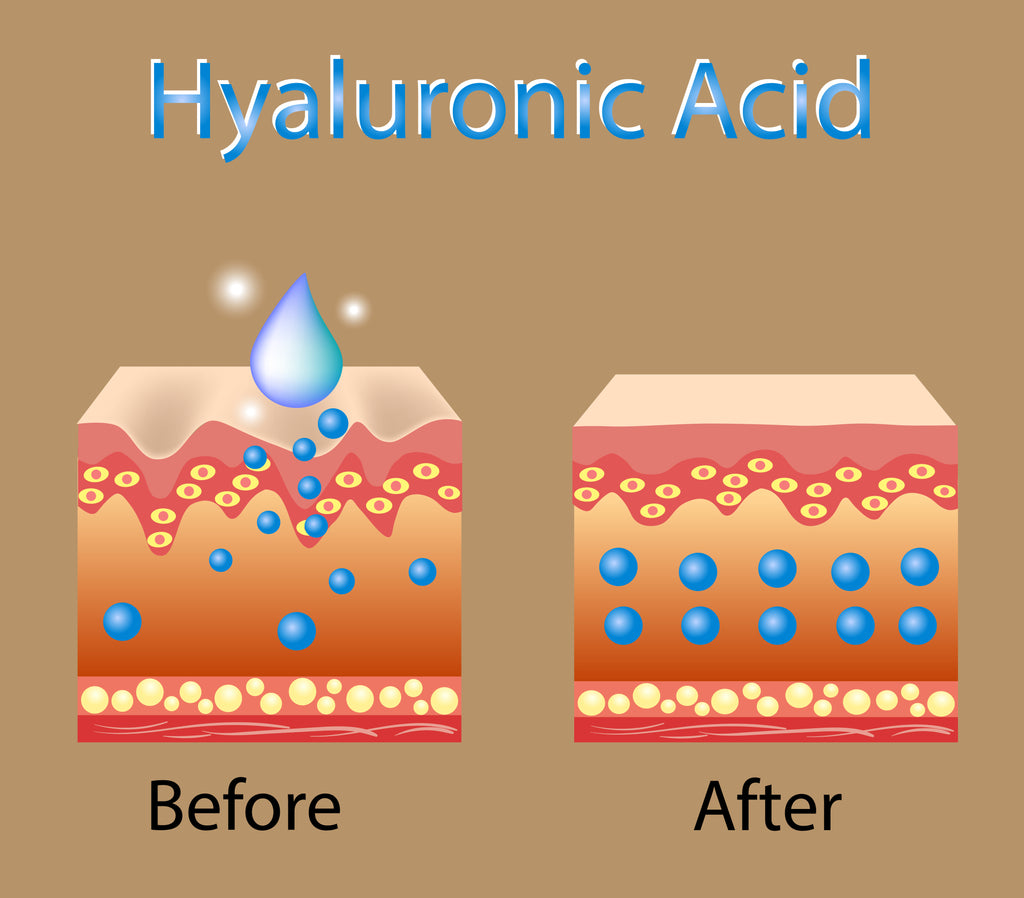 Hydrates, Smooths, and Anti-Aging